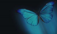 Website Design Company in Maine, WordPress web Development, Kittery, York Maine and Laconia NH
