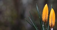 Website Design Company in Maine, WordPress web Development, Kittery, York Maine and Laconia NH