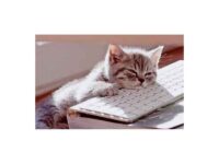 Redesign your boring website