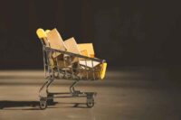 E-commerce website design - E-commerce migration to WordPress in Maine and Laconia NH